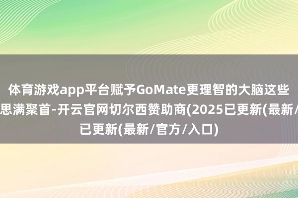体育游戏app平台赋予GoMate更理智的大脑这些期间的好意思满聚首-开云官网切尔西赞助商(2025已更新(最新/官方/入口)