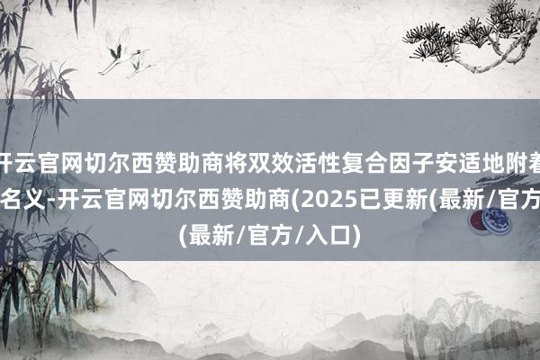 开云官网切尔西赞助商将双效活性复合因子安适地附着在板材名义-开云官网切尔西赞助商(2025已更新(最新/官方/入口)