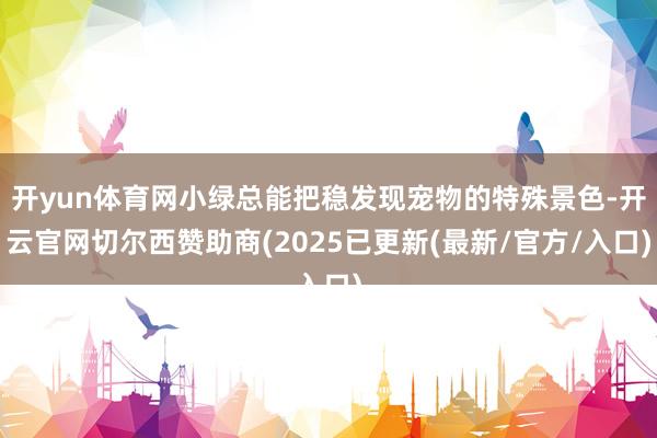开yun体育网小绿总能把稳发现宠物的特殊景色-开云官网切尔西赞助商(2025已更新(最新/官方/入口)