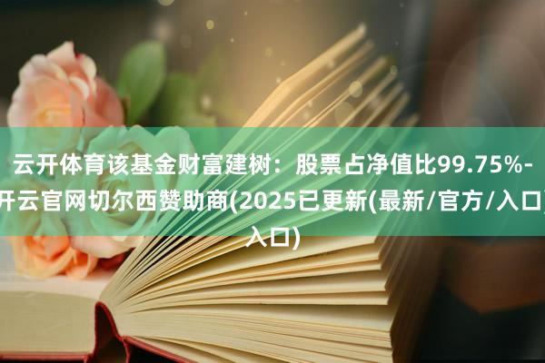 云开体育该基金财富建树：股票占净值比99.75%-开云官网切尔西赞助商(2025已更新(最新/官方/入口)