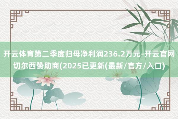 开云体育第二季度归母净利润236.2万元-开云官网切尔西赞助商(2025已更新(最新/官方/入口)
