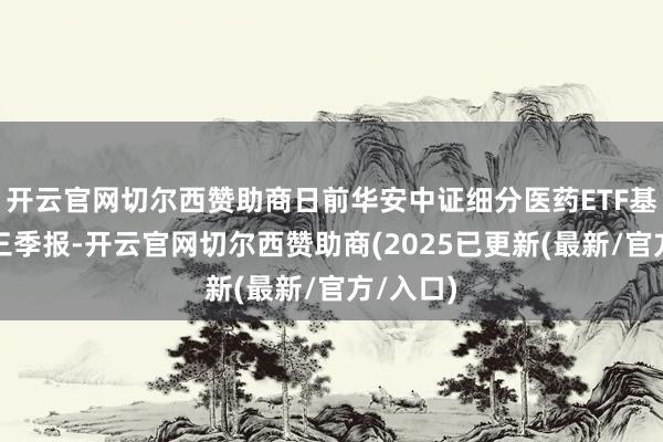 开云官网切尔西赞助商日前华安中证细分医药ETF基金公布三季报-开云官网切尔西赞助商(2025已更新(最新/官方/入口)