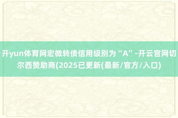 开yun体育网宏微转债信用级别为“A”-开云官网切尔西赞助商(2025已更新(最新/官方/入口)