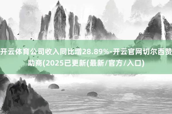 开云体育公司收入同比增28.89%-开云官网切尔西赞助商(2025已更新(最新/官方/入口)
