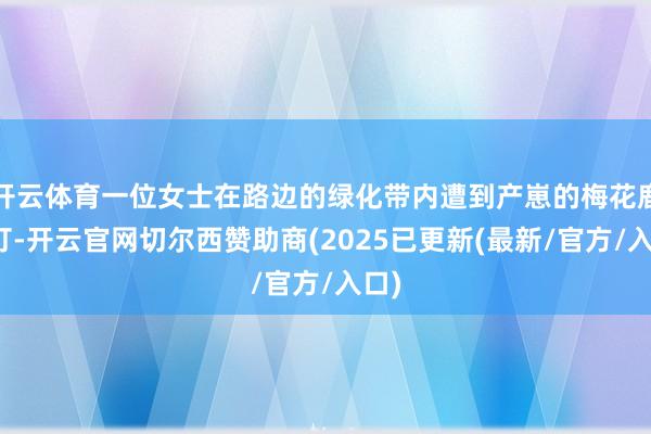 开云体育一位女士在路边的绿化带内遭到产崽的梅花鹿踢打-开云官网切尔西赞助商(2025已更新(最新/官方/入口)